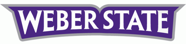 Weber State Wildcats 2012-Pres Wordmark Logo iron on transfers for T-shirts...